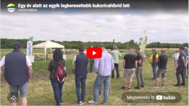 Szárazságban és öntözve is az élmezőnyben végzett: a sikeres RGT MOGABRIX kukoricahibridjét mutatta be az RAGT Mezőfalván