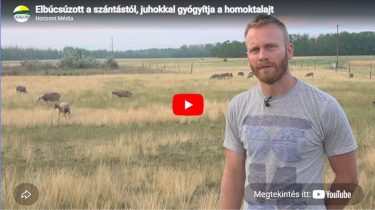 Szabó Zoltán regeneratív gazdálkodó növénytársulást mutat kiskunmajsai területén.