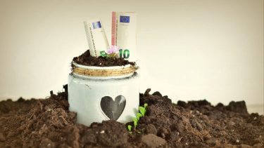 termőföld kaspó euró bankjegy