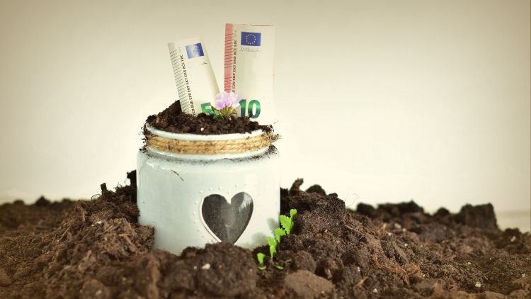 termőföld kaspó euró bankjegy