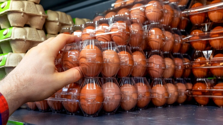 tojás vásárló kéz csomagolás tojáspiac