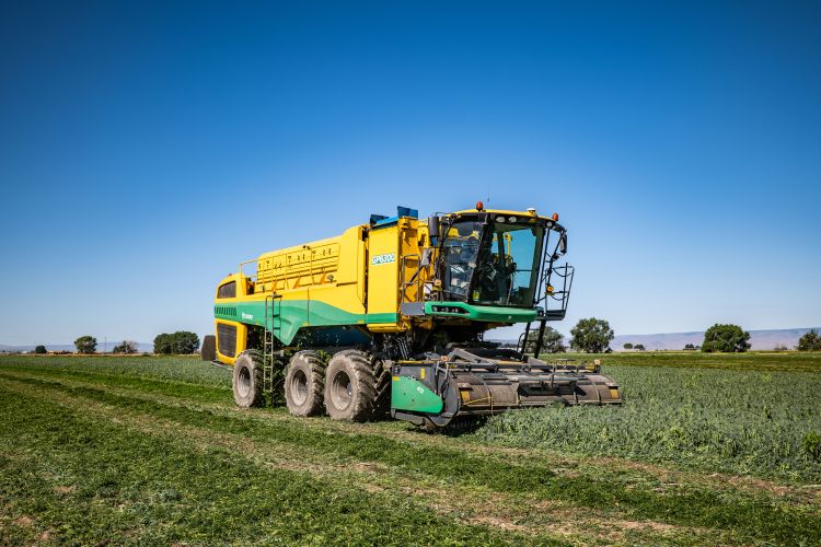 Oxbo GP6300 borsókombájn