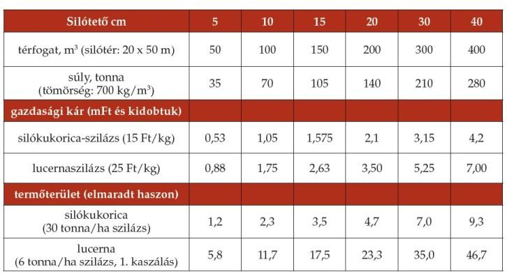 Silótető vastagsága és veszteség
