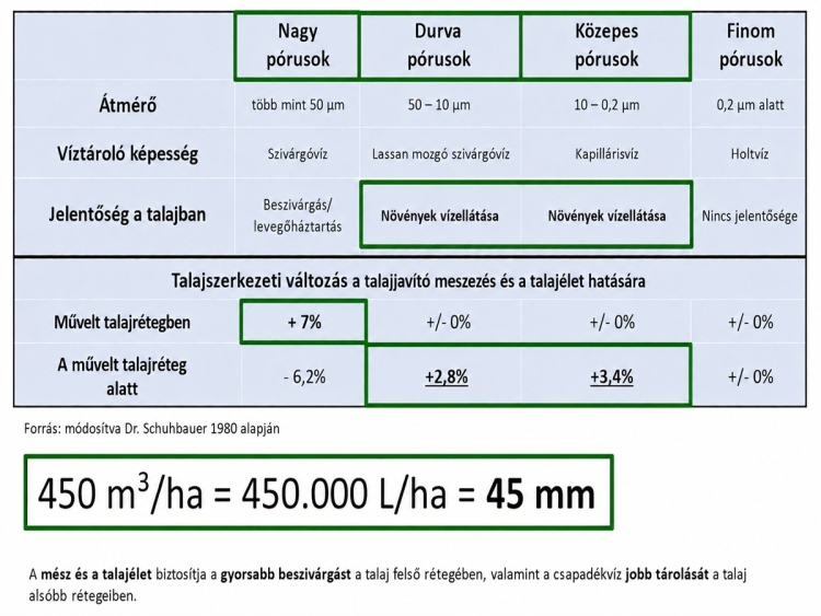 kalciumpótlással elérhető vízháztartás-javulás elemei