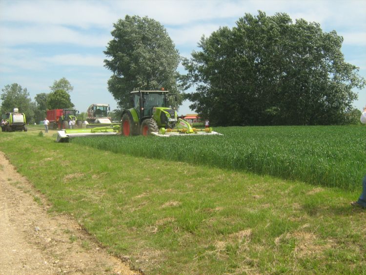 Szenázsalapanyag kaszálása géppel