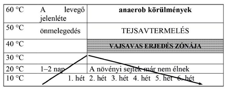 Hidegerjesztés folyamata a silóban