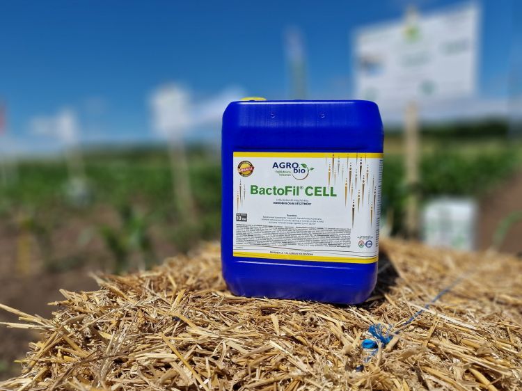 BactoFil CELL