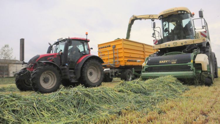 szalma bálázás rendkezelés traktor bálázógép