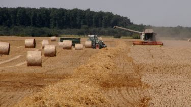 A francia mellett a magyar agrárium az idei aszály nagy vesztese