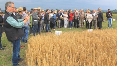 Biofeld tagen Ausztriában, ökológiai gazdálkodás
