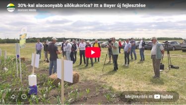 Zsila József bemutatja a Bayer PRECEON silókukorica-rendszerét