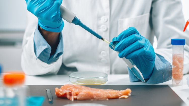 laboratórium kémcső pipetta baromfihús szalmonella