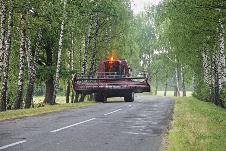 Egy kombájn halad a közűton aratási munkák idején.