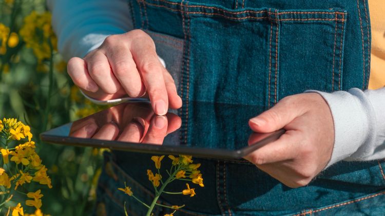 repce gazda termelő notepad mezőgazdasági admniisztráció