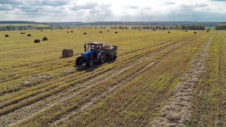 orosz termőföld traktor betakarítás növénytermesztés