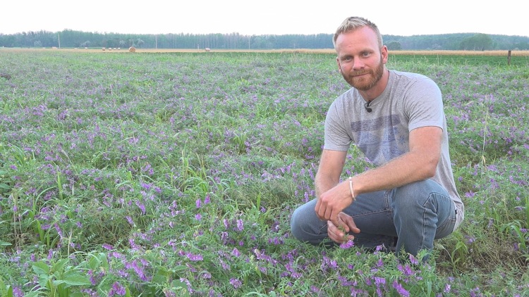 Szabó Zoltán kiskunmajsai regeneratív gazdálkodó a no-till technológiával művelt területén.